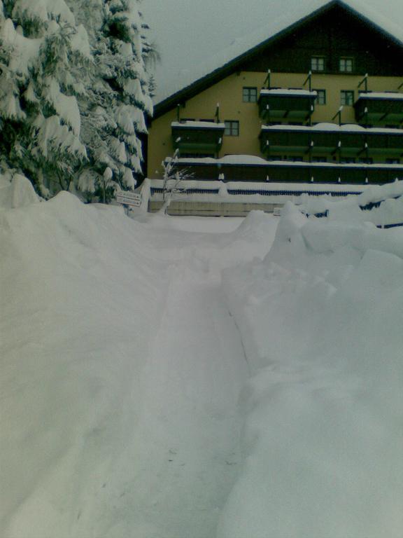 Nevesole Folgarida Resort Esterno foto